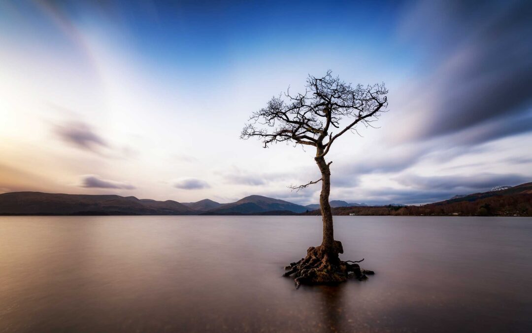 Loch Lomond SCDT